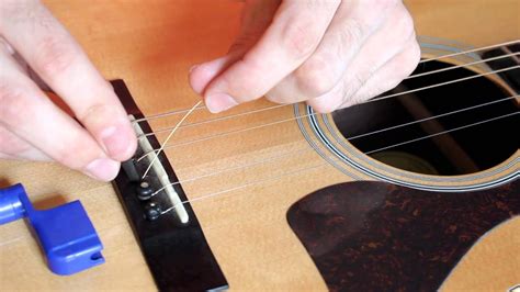 10 String Acoustic Guitar