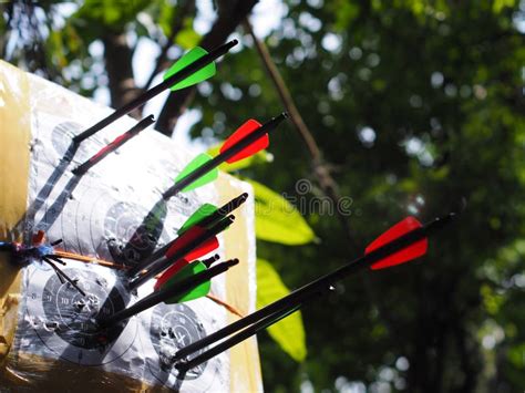 Black Glass Carbon Fibre Archery Crossbow Bolts with Red and Green Colour Vanes on House-made ...