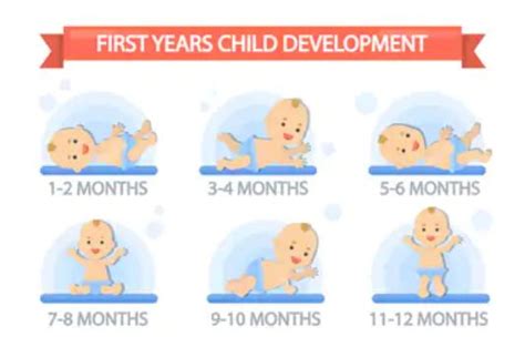 Baby Development Stages After Birth ~ TELUGU WORLD