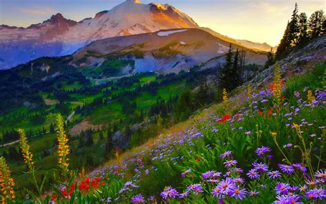 Mount Rainier HD desktop wallpaper : Widescreen : High Definition : Fullscreen