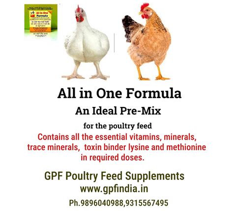 Adding Supplements to Chicken Feed Supplements - Pet Food Guide