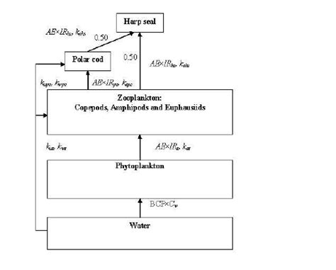 Foodchain model for harp seal in the Barents Sea, simplified from [16 ...