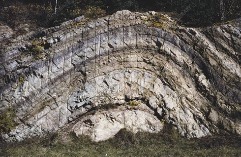 Anticline - Stock Image - C012/0069 - Science Photo Library