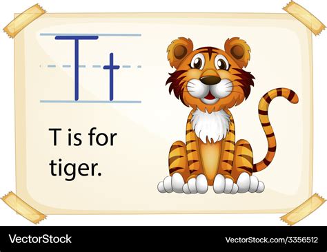 A letter t for tiger Royalty Free Vector Image