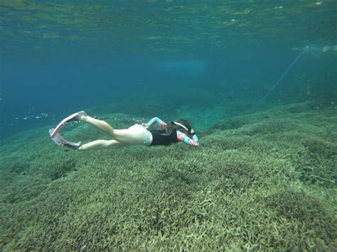 Lembongan Snorkeling Packages by Lembongan Trip