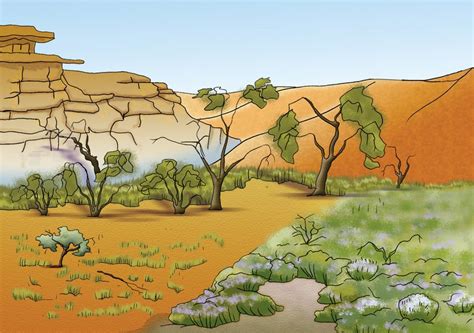 Arid habitats - The Australian Museum