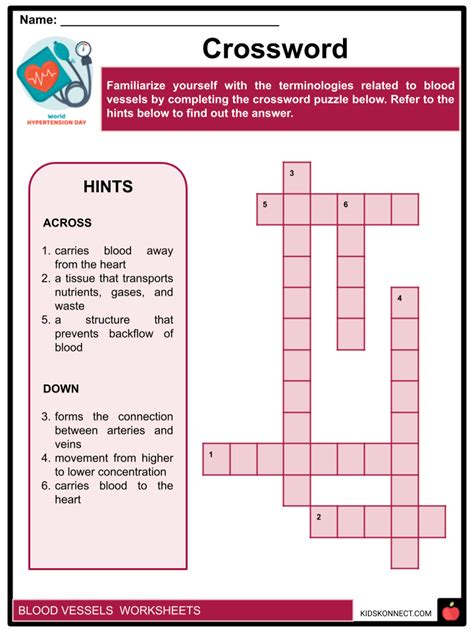 Blood Vessels Worksheet - Worksheets For Kindergarten