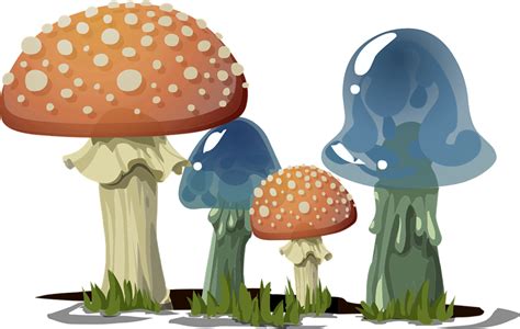 Free Fungi Cliparts, Download Free Fungi Cliparts png images, Free ClipArts on Clipart Library