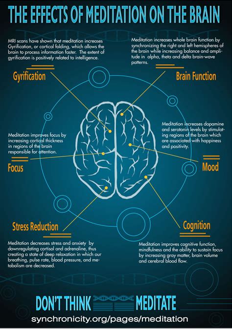 Effects of Meditation on the Brain [Infographic]