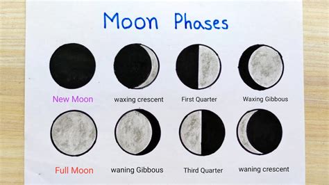 Moon phase drawing easy step | Moon phase diagram idea | How to draw ...