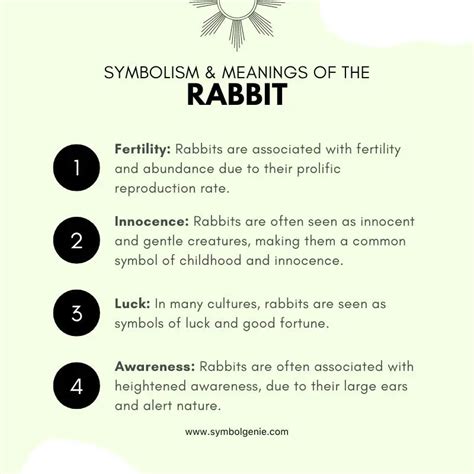 Rabbit: Rabbit symbolism and meanings - Symbol Genie