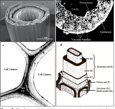 Figure 2 from Effect of lignin structure on enzymatic hydrolysis of plant residues | Semantic ...