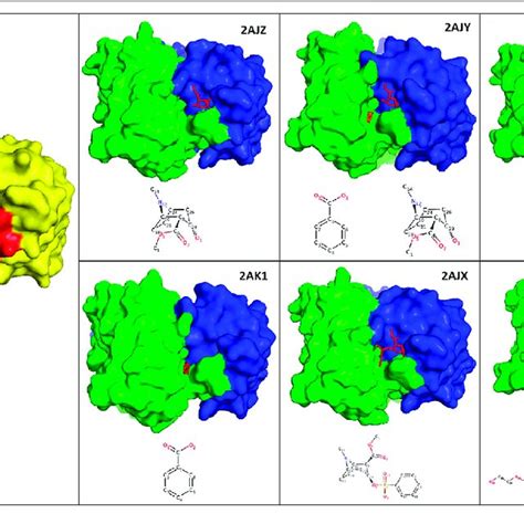 (PDF) Structural Analysis of Anti-Hapten Antibodies to Identify Long-Range Structural Movements ...