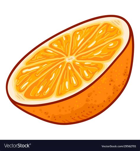 Cartoon half cut orange fruit Royalty Free Vector Image