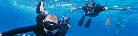 Snorkeling in the DOMINICAN REPUBLIC with Dressel Divers