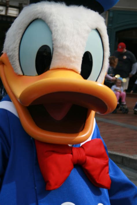 Donald Duck @ Disneyland #Disneyland #DisneylandResort #DonaldDuck #Characters | Donald duck ...