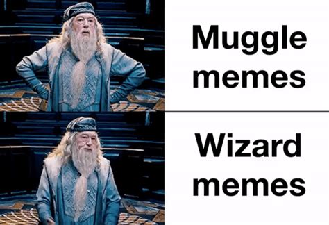 Memes: Muggle vs Wizard - Harry Potter fan Art (43909377) - fanpop