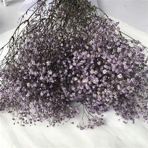 Eternal Flower Gypsophila Bouquet Natural Dried Flower Baby's Breath ...