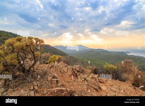 Mediterranean climate hi-res stock photography and images - Alamy