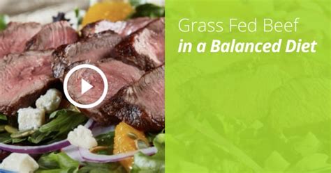 Frequently Asked Questions about Grass Fed Beef | Grass Run Farms