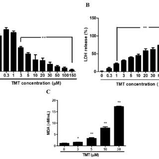 Dose-toxicity effects of trimethyltin (TMT) in human dopaminergic... | Download Scientific Diagram