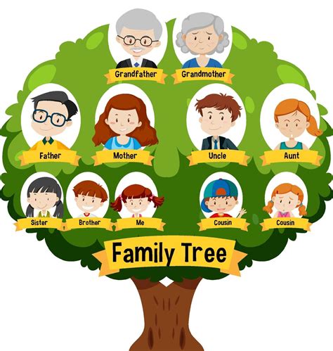 Arvore Genealogica Family Tree Genealogy Blank Family - vrogue.co