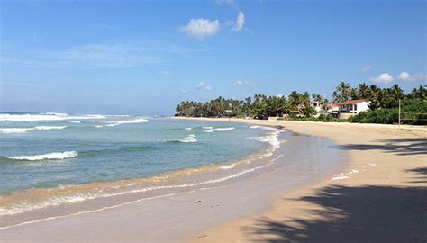 Ahangama Beach Sri Lanka | Sri Lanka Best Surf Beaches | Solas Surf