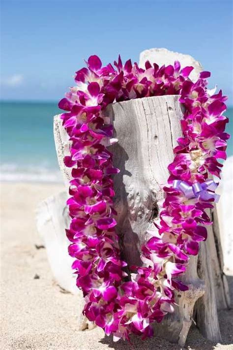 Big Island of Hawaii Kona Airport Lei Greetings - Hawaii Discount | Hawaii flowers, Hawaiian lei ...