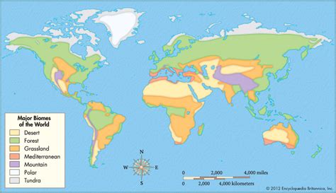 Major Biomes Of The World Map Zip Code Map | The Best Porn Website