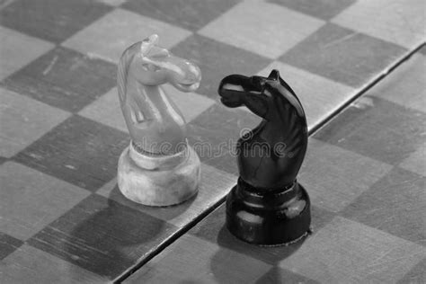 Two chess knights stock photo. Image of play, knight, leisure - 9806398