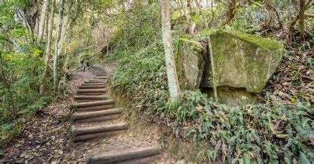 Discover these scenic walking trails - Things to do near Lake Macquarie