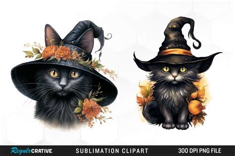 Halloween Black Cat Witch Graphic