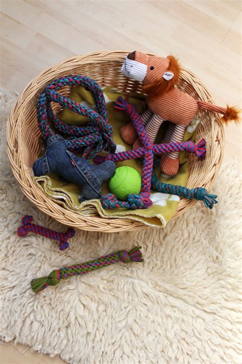 NEW! Doggie DIYs – Let’s start with making your own dog toys! – This Blog Is Not For You