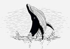 Humpback Whale Vector at Vectorified.com | Collection of Humpback Whale ...