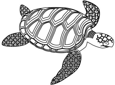 Free Black And White Sea Turtle Clipart - ClipArt Best