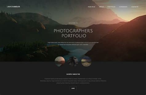 36+ Portfolio Website Themes & Templates