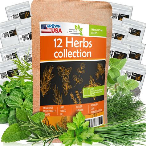 Best Herb Seeds Online: Top Picks for Your Garden