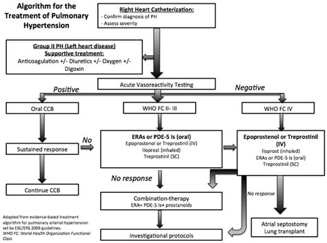 Pulmonary hypertension medical therapy - wikidoc