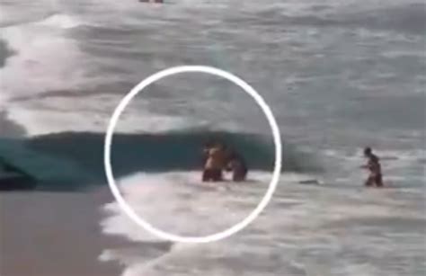 Brazil Shark Attack Victim Bruna Gobbi Fatally Bitten Moments Before ...