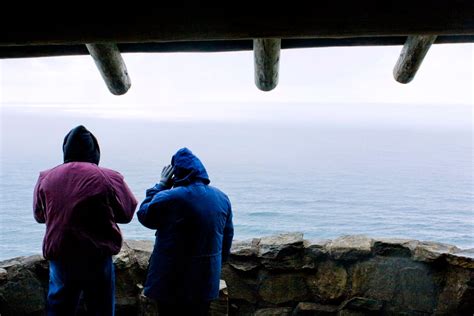 How to go whale watching at the Oregon coast on your own - oregonlive.com