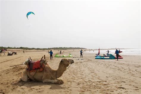 Essaouira city guide: surfing and shopping mecca - Mokum Surf Club