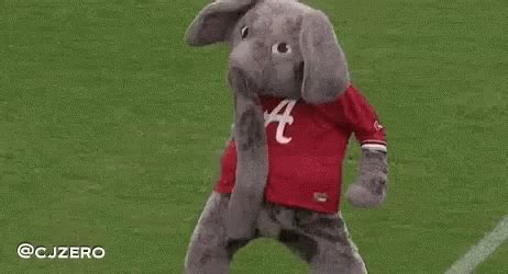 Roll Tide GIF - Roll Tide Elephant - Discover & Share GIFs