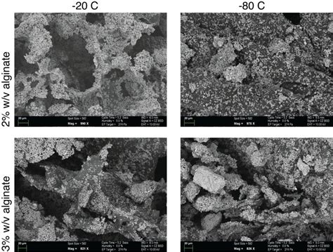 Effects of alginate properties and processing temperature on the ...