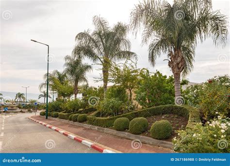 Decoratively Decorated Roadside at the Entrance To the Ghajar Alawite Arab Village, Located on ...