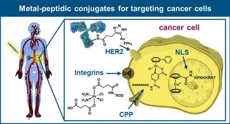 Design Strategies and Medicinal Applications of Metal-Peptidic Bioconjugates.,Bioconjugate ...