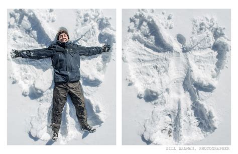 Snow Angel Diptychs — Wadman