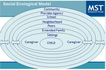 MultiSystemic Therapy Program | Bluebonnet Trails