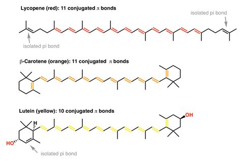 How Bleach Works: Understanding Colors From Nature — Master Organic Chemistry