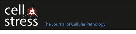 Mitochondrial stress management: a dynamic journey