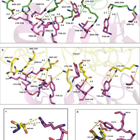 Neuraminidase and neuraminidase inhibition assay of NA proteins with ...